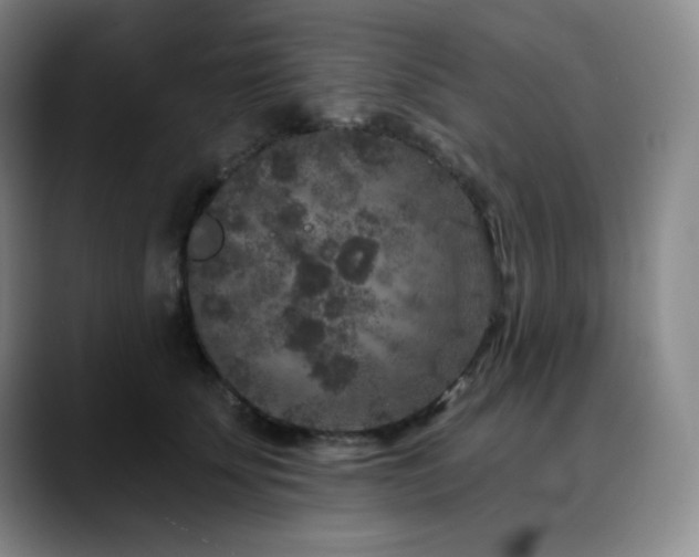 X0000090440707200707131220