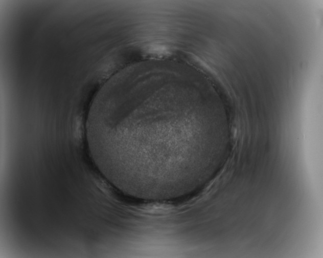 X0000090440708200707131220