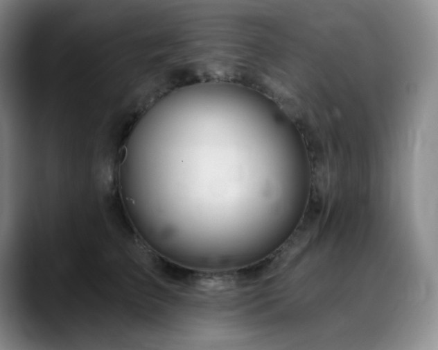 X0000090440709200707131220