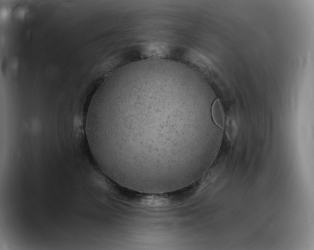 X0000090440714200707131220