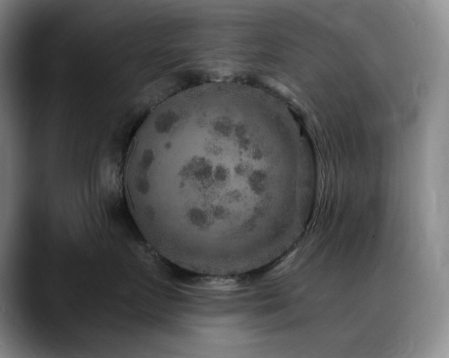 X0000090440719200707131220