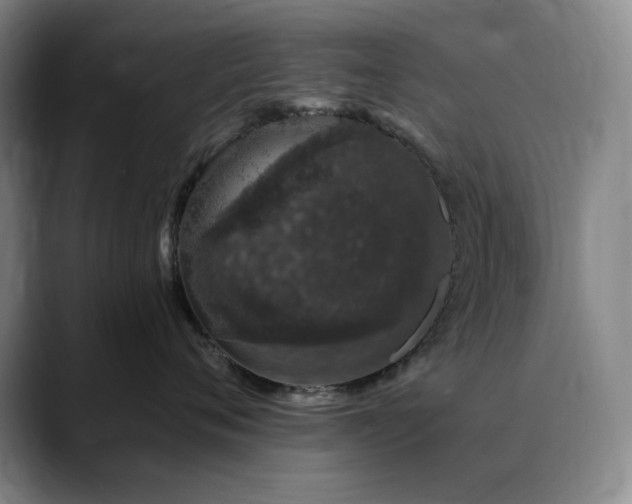 X0000090440720200707131220