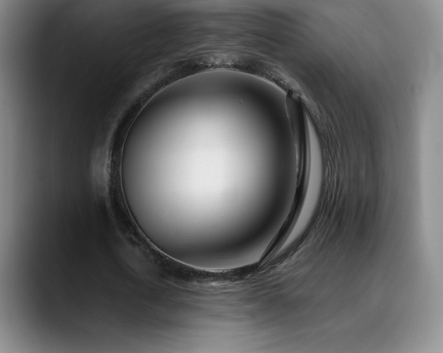 X0000090440722200707131219