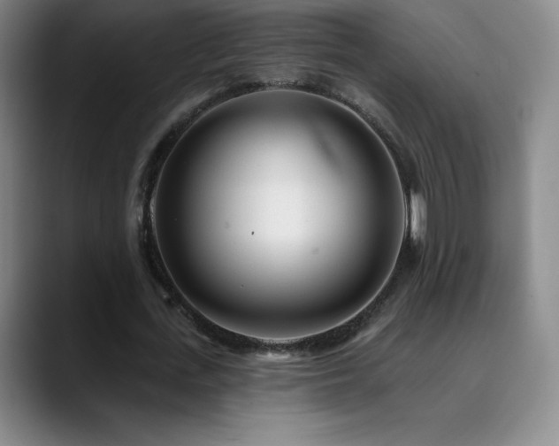 X0000090440723200707131219