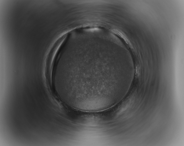 X0000090440724200707131219