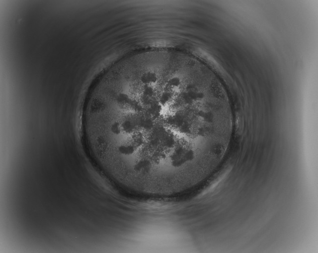 X0000090440725200707131219