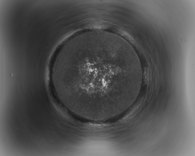 X0000090440726200707131219