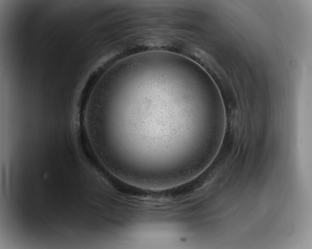 X0000090440727200707131219