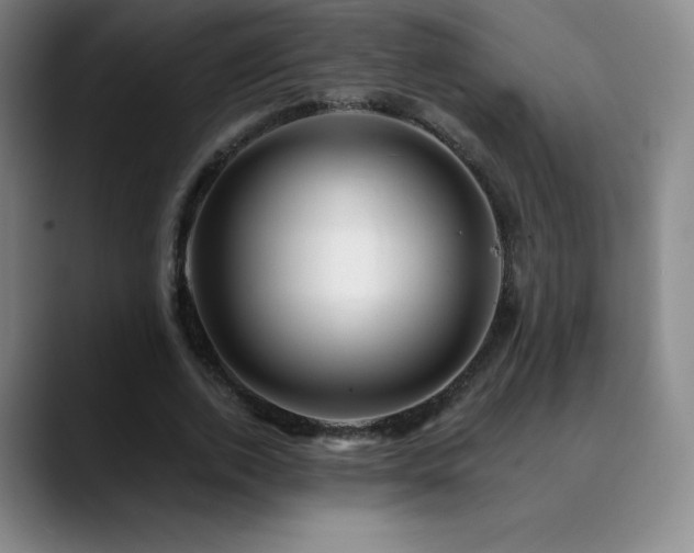 X0000090440728200707131219