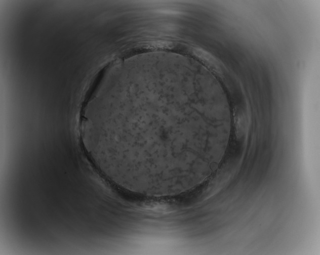 X0000090440729200707131219