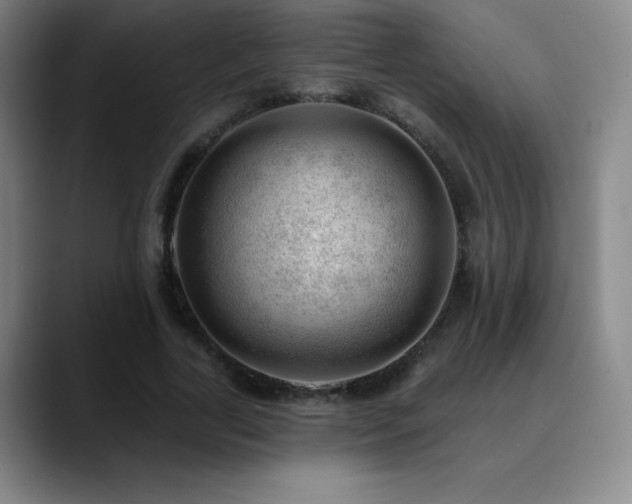 X0000090440731200707131219