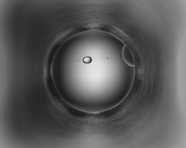 X0000090440732200707131219