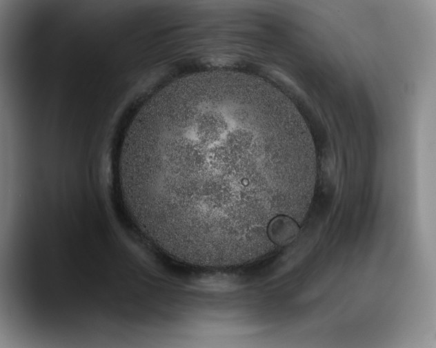 X0000090440734200707131219