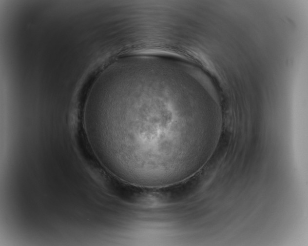 X0000090440736200707131219