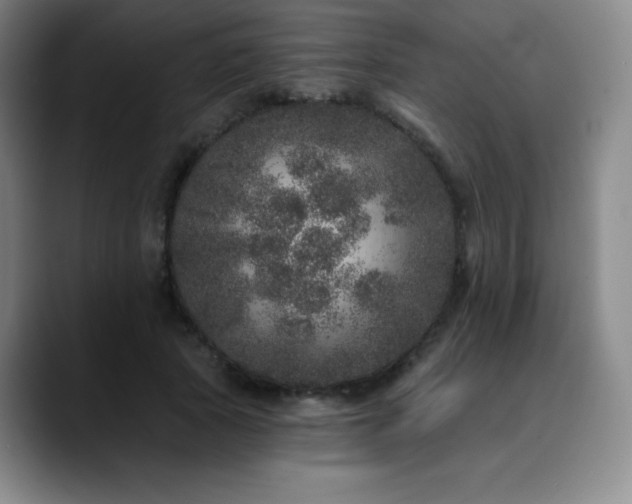 X0000090440737200707131219