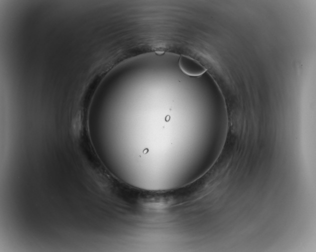 X0000090440740200707131219