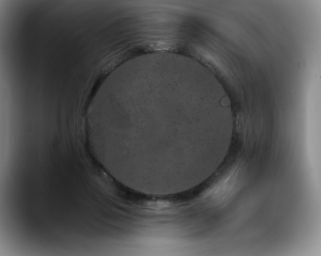 X0000090440741200707131219