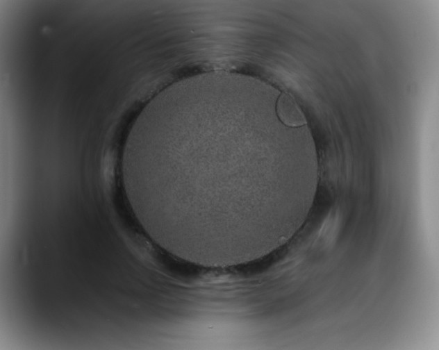 X0000090440742200707131219