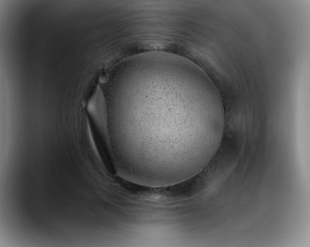 X0000090440743200707131219