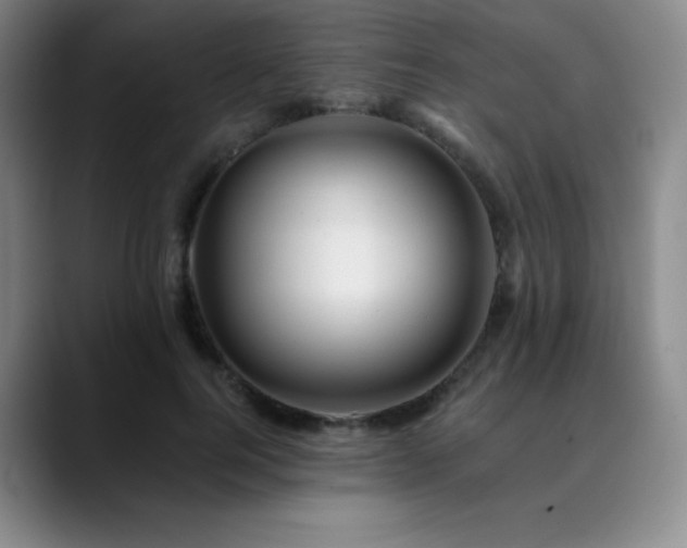 X0000090440744200707131219