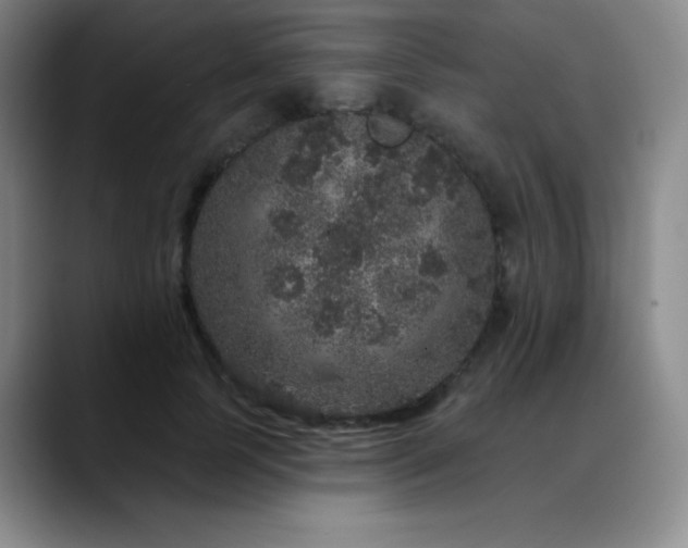 X0000090440745200707131219