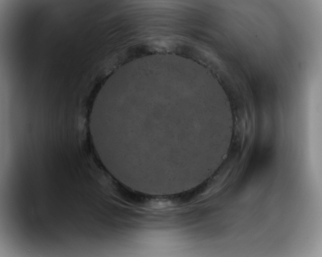 X0000090440749200707131219