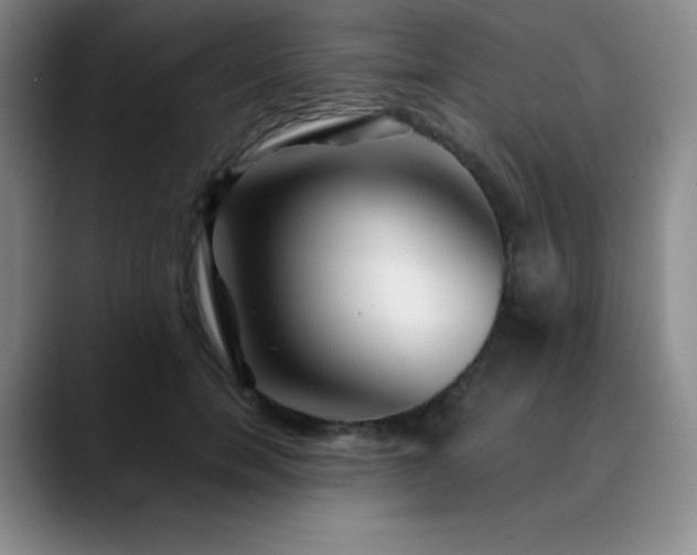 X0000090440750200707131219