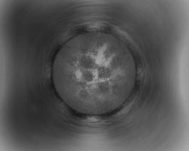 X0000090440753200707131219