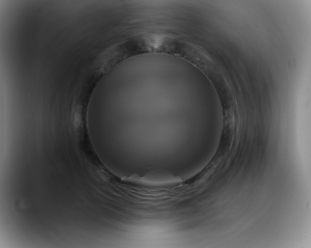 X0000090440754200707131219