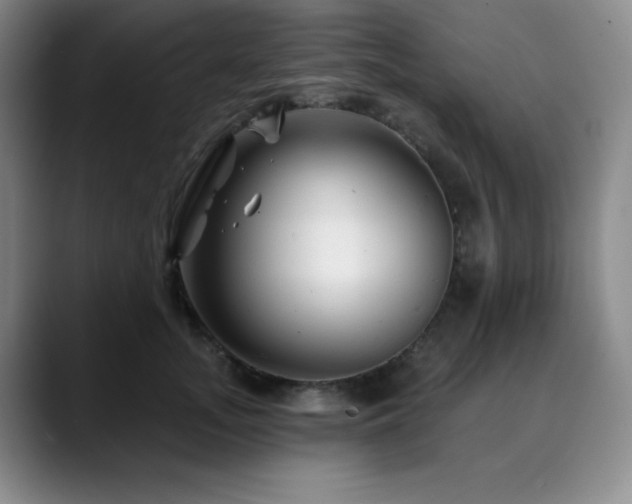 X0000090440755200707131219