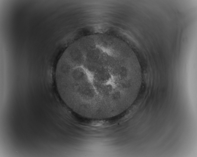 X0000090440757200707131219