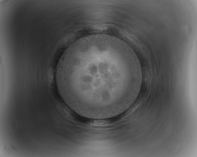 X0000090440758200707131219