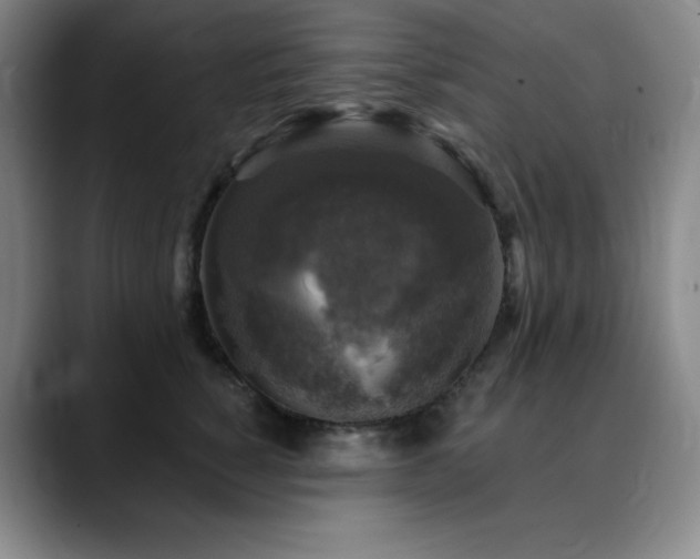 X0000090440760200707131219