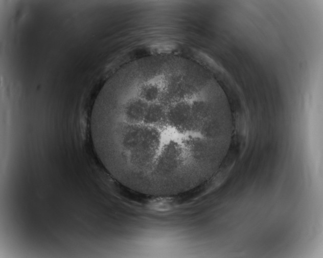 X0000090440761200707131219