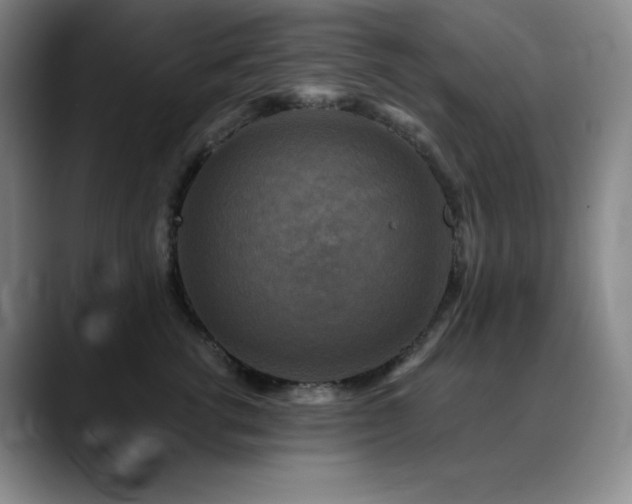 X0000090440762200707131219