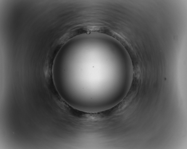 X0000090440763200707131219