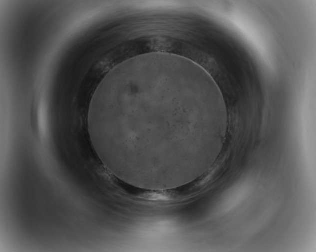 X0000090440765200707131219