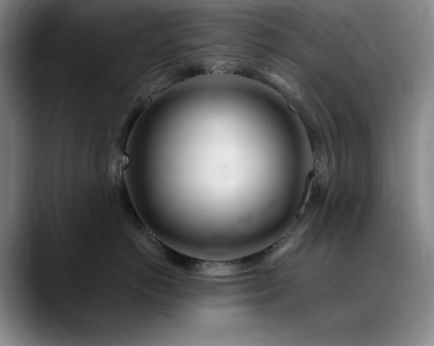 X0000090440766200707131219