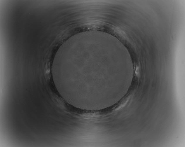 X0000090440771200707131219