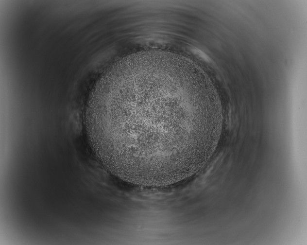 X0000090440774200707131219