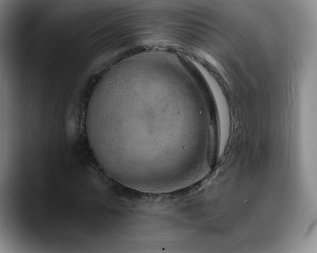 X0000090440775200707131219