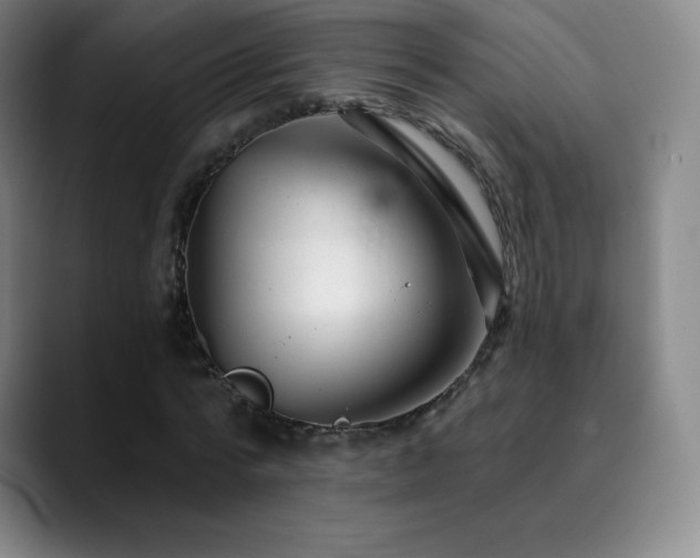 X0000090440776200707131219