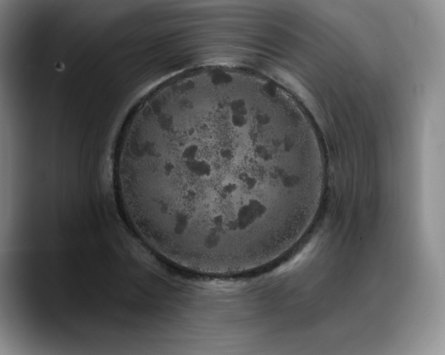 X0000090440779200707131219