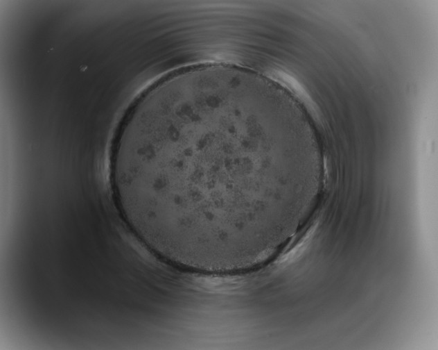 X0000090440780200707131219