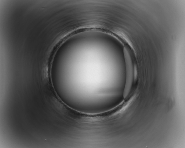 X0000090440781200707131219