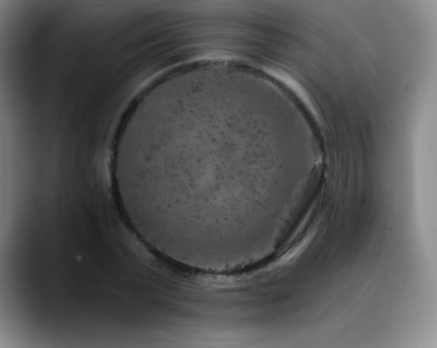 X0000090440783200707131219