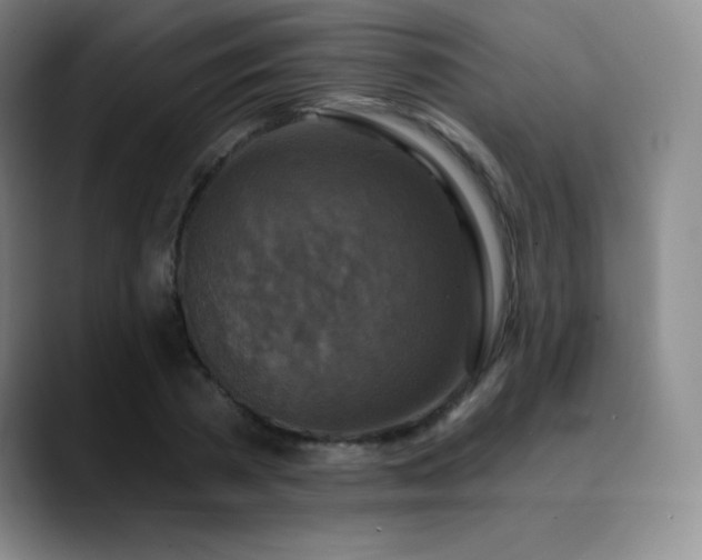 X0000090440785200707131219