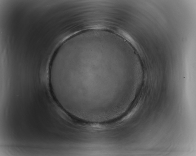 X0000090440787200707131219