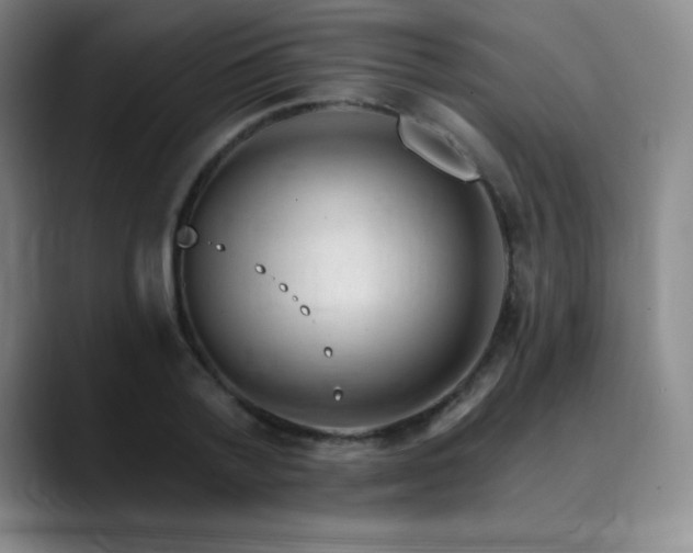 X0000090440788200707131219