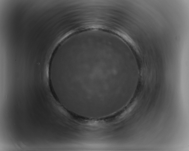 X0000090440790200707131219